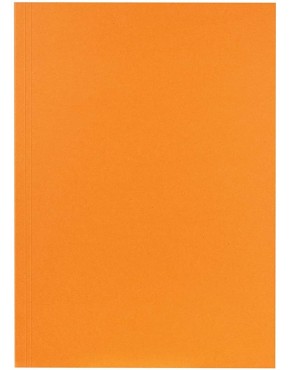 Original Falken 100er Pack Aktendeckel. Made in Germany. Aus Recycling-Karton für DIN A4 orange Blauer Engel Hefter ideal für das Büro und Schule und die mobile Organisation - BNNIIBJK