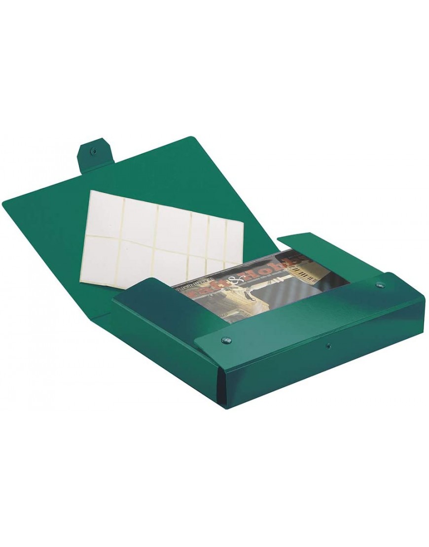 Esselte Ordner-Archivbox für die Archivierung von Dokumenten langfristige A4 Rücken 10 cm Delso Order Dorso 10 cm grün - BMMHV9KQ