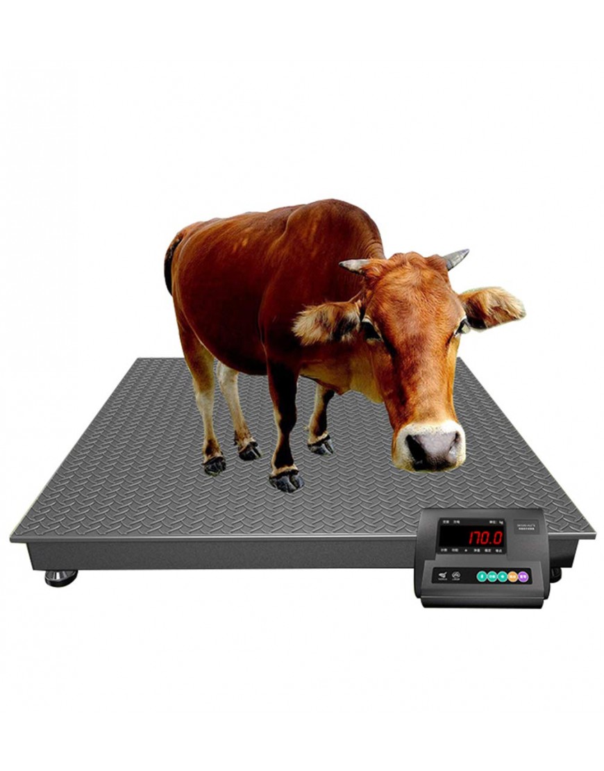 CGOLDENWALL Digitale Tierwaage mit Tierwiege und Selbstverriegelungsfunktion strapazierfähig 1000 kg - BFBHQ9M1