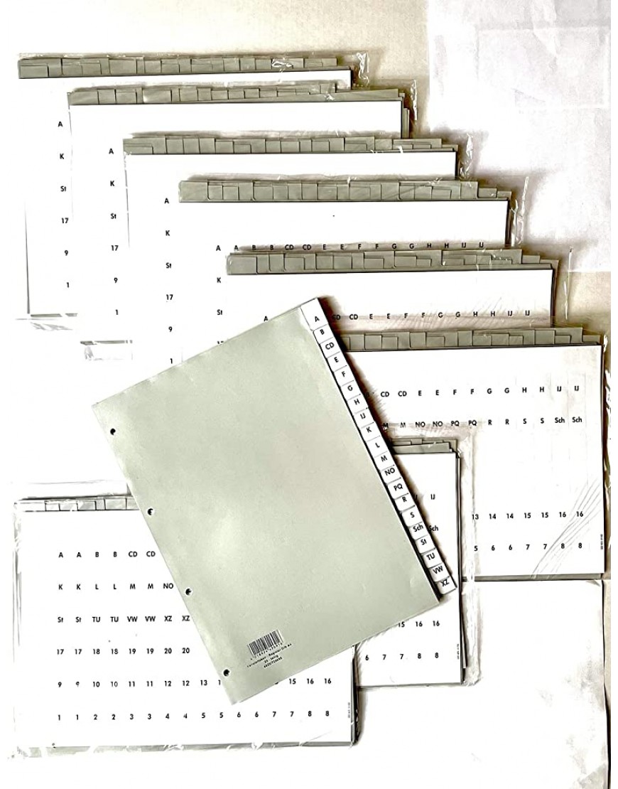 10x HETZEL Kunststoff-Register A4 grau 20 tlg inkl. auswechselbaren Beschriftungsfeldern Trennblätter - BIXFRWVD