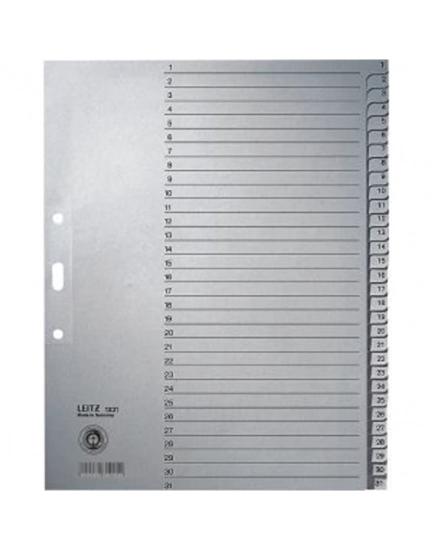 Leitz 10 x Register A4 1-31 100g qm grau - BFZJF272