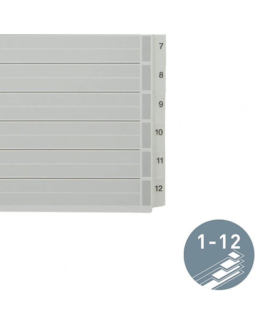 Leitz Register für A4 Deckblatt und 12 Trennblätter Taben mit Zahlenaufdruck 1-12 Lochrand und bunte Taben folienverstärkt Mylar Grau Karton 43250000 - BYRQWH3E