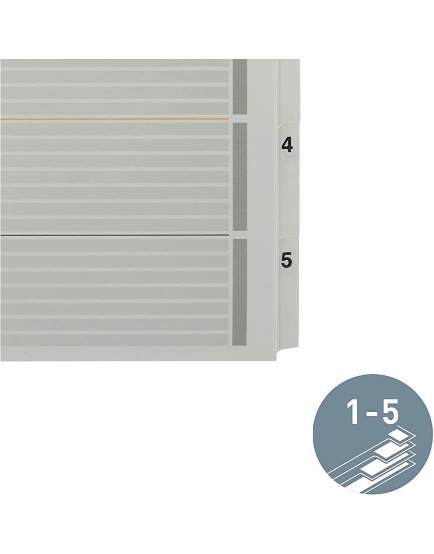 Leitz Register für A4 Laminiertes Deckblatt und 5 Trennblätter mit Zahlenaufdruck 1-5 Lochrand und Taben folienverstärkt Überbreite Grau Karton 43300000 - BTWMFDED